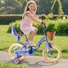Kinderfahrrad 12–16 Zoll, Korb, Puppensitz & Stützräder 1 Produktbild-Vorschau 6