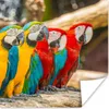 MuchoWow® Poster Vögel - Papagei - Tropisch - Natur 50x50 Produktbild-Vorschau 1
