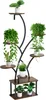 Scaffale per piante con luce LED - Scaffale per fiori a 8 Anteprima dell’immagine prodotto 9