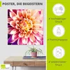 ARTland Poster Dahlie Größe: 70x70 cm Produktbild-Vorschau 2