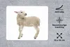 MuchoWow® Mauspad Mousepad Schaf - Wolle - Lamm 23x19 cm - Produktbild-Vorschau 2