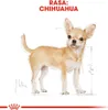 Royal Canin Chihuahua Adult, Dorosły, Chihuahua, XS (<4 Podgląd zdjęcia produktu 7