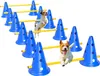 PawHut Agility Set Hunde 6-teiliges Agility-Ausrüstung für Produktbild-Vorschau 1
