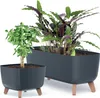 Two planters with plants on a white background. Produktbild-Vorschau