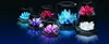 4M Crystal Growing Experimental Kit | 4M Anteprima dell’immagine prodotto 3