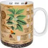 KÖNITZ Wissensbecher Kaffeewissen mehrfarbig – 6er Produktbild-Vorschau 1