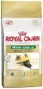 Royal Canin Maine Coon 2 kg Produktbild-Vorschau 1