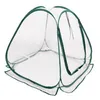 LEX Pop-Up Gewächshaus Tomatenhaus 60 x 60 x 60 cm GH60 Produktbild-Vorschau 1