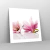 Poster - Poster ohne Rahmen - Magnolie blume natur pflanze Produktbild-Vorschau 7