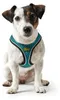 HUNTER Hundegeschirr Hilo Comfort, Farbe: türkis, Easy Produktbild-Vorschau 5