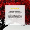 Leinwand Bilder 60x80 cm - Lebensbaum - Rot - Natur - Produktbild-Vorschau 8