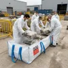 5 worków na płyty azbestowe z workiem wewnętrznym 250 x 150 Podgląd zdjęcia produktu 2