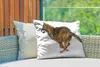 MuchoWow® Outdoor Kissen - Wolf - Schnee - Kälte - 60x40 cm Produktbild-Vorschau 3