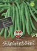 SPERLI Stangenbohnensamen Rakker Phaseolus vulgaris 10-15 Produktbild-Vorschau 2