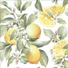 Tovaglioli 33x33 cm - Limoni Anteprima dell’immagine prodotto 1