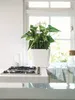 LECHUZA Pot de fleurs QUADRO Premium LS 35 Noir brillant | Voir les images du produit 5