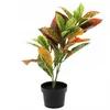 Künstliche Bume im Topf, Gummibaum 58 cm Produktbild-Vorschau 3
