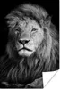 MuchoWow® Poster Wildlife - Löwe - Schwarz - Weiß 40x60 cm Produktbild-Vorschau 1