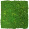 A close-up, top-down view of a square panel covered in artificial moss. Produktbild-Vorschau