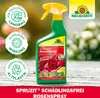 Neudorff Spruzit AF Schädlingsfrei RosenSpray 750 ml Produktbild-Vorschau 5