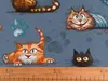 Baumwollstoff mit Kindermotiv ab 0,5m Oekotex Meterware 160cm breit Kinderstoff Katzen Produktbild-Vorschau