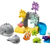 LEGO 10972 DUPLO Divoká zvířata oceánu Náhled obrázku produktu 3