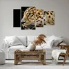 Bild auf Leinwand - Leinwandbild - Tiere Leopard wilde Produktbild-Vorschau 6