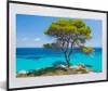 MuchoWow® Gerahmtes Poster Baum - Meer - Tropisch - Sommer Produktbild-Vorschau 1