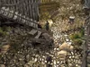 Gothic 3 (DVD-ROM) Produktbild-Vorschau 4