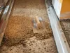 gabarit de remblayage à sec rabo 5 pièces : 2 rails de base Voir les images du produit 6