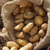 Jutesäcke dick, robust und biologisch abbaubar, 4er set Produktbild-Vorschau 6
