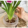 Záhradný substrát ORCHIDPON 6L LECHUZA Náhľad obrázku produktu 2