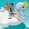Intex 57562NP, Wielobarwny, Biały, Pływak, Obraz, 3 lat(a), Podgląd zdjęcia produktu 8