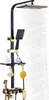 A black and gold shower system with a rainfall showerhead and handheld sprayer, mounted on a wall. Náhled obrázku produktu