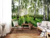 Vlies Fototapete Birken Wald Natur grün (368cm x 254cm - 4 Produktbild-Vorschau 2