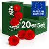 20x Steckziegel Steckschaum Ziegel Steckschwamm Steckmasse Produktbild-Vorschau 1