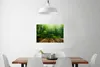 MuchoWow® Poster Boden - Holz - Dschungel - Jungen - Produktbild-Vorschau 2