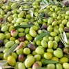 Principe Pignatelli di Monteroduni - 100% Italienisches Produktbild-Vorschau 3