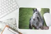 MuchoWow® Mauspad Mousepad Pferd - Wald - Porträt 27x18 cm Produktbild-Vorschau 5