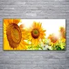 Tulup Leinwand-Bilder 120x60 Wandbild Canvas Kunstdruck Produktbild-Vorschau 2