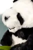 Close-up of a stuffed panda toy. Voir les images du produit
