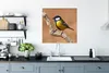 MuchoWow® Poster Vogel - Kohlmeise - Zweige 75x75 cm - Wand Produktbild-Vorschau 3
