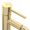 Rea Bidetarmatur Tess Gold Produktbild-Vorschau 5
