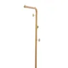 A gold coat rack with multiple hooks. Náhled obrázku produktu