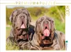 CALVENDO Puzzle Zwei Mastino Napoletano 2000 Teile Puzzle Produktbild-Vorschau 2
