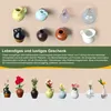 8 Stück 3D Mini Keramik Vase Magnete Kühlschrank, Produktbild-Vorschau 4
