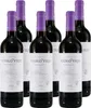 Pueblo Viejo Rioja Tempranillo -trocken- (6 x 0,75L) Produktbild-Vorschau 1