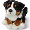 Carl Dick Berneński Pies Górski siedzący, pies, ok. 30 cm Podgląd zdjęcia produktu 3