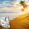Blåvand Souvenir Souvenir Magnet – Hier bläst der Westwind Produktbild-Vorschau 4