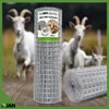Volierendraht - 50x50x2,0mm - 25m - Wetterfest  Produktbild-Vorschau 11